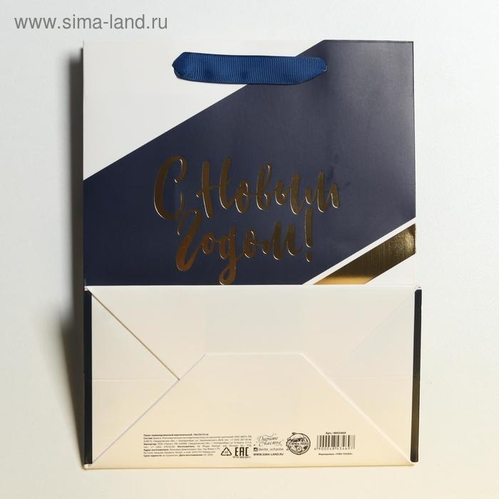 Пакет подарочный новогодний ламинированный «Удачи в Новом году», MS 18 х 23 х 10 см