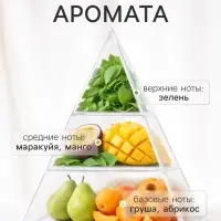 Диффузор ароматический с палочками Holi Sympathy, 50 мл