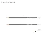 Карандаш чернографитный с ластиком Erich Krause «Jet Black 101», HB, грифель d=2.2 мм, дерево, шестигранный в тубусе, чёрный корпус