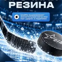 Шайба хоккейная Winter Star, взрослая, d=7.6 см