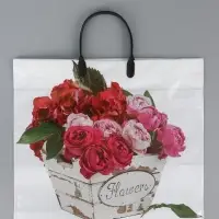 Пакет "Пинк", полиэтиленовый с пластиковой ручкой, 38 х 34 + 3 см, 90 мкм Пакет "Пинк", полиэтиленовый с пластиковой ручкой, 38 х 34 + 3 см, 90 мкм