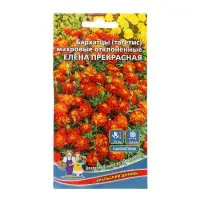 Семена Цветов Бархатцы махровые "Елена прекрасная" , 0 ,2 г Семена Цветов Бархатцы махровые "Елена прекрасная" , 0 ,2 г