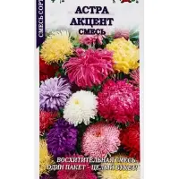 Семена Астра Акцент смесь сортов /Сотка/ 0,2г/ h-60-80см, d-6-10см/*1500 Семена Астра Акцент смесь сортов /Сотка/ 0,2г/ h-60-80см, d-6-10см/*1500