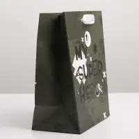 Пакет подарочный ламинированный, упаковка, &laquo;Super Hero&raquo;, MS 18&times;23&times;10 см