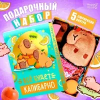 Подарочный набор Happy Valley &laquo;Всё будет капибарно!&raquo;, 5 сюрпризов