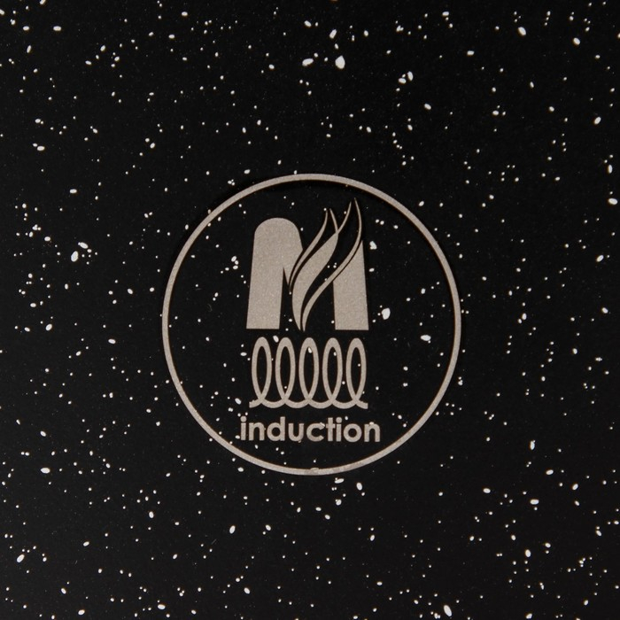 Кастрюля «Гранит Black» Induction Pro, 3 л, d=22 см, h=10.5 см, индукция, цвет чёрный Кастрюля «Гранит Black» Induction Pro, 3 л, d=22 см, h=10.5 см, индукция, цвет чёрный