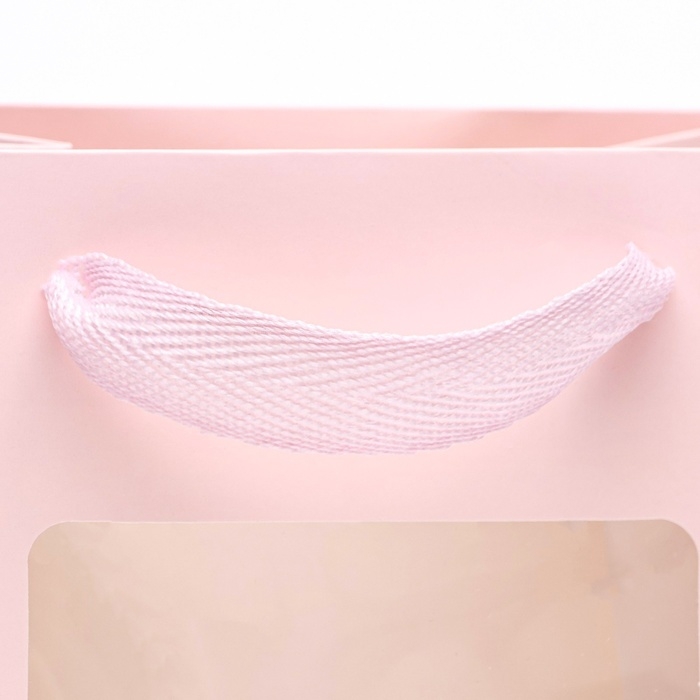 Пакет подарочный, с окном, 20 х 15 х 10 см, розовый Пакет подарочный, с окном, 20 х 15 х 10 см, розовый