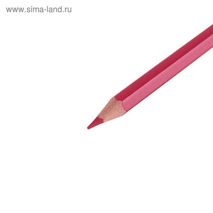 Карандаши художественные цветные мягкие, ЗХК Карандаши художественные цветные мягкие, ЗХК "Сонет", 36 цветов