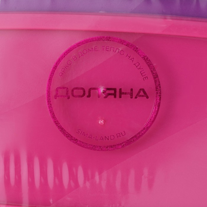 Набор контейнеров для хранения Доляна &laquo;Радуга&raquo;, 4 шт: 19&times;12, 16&times;9, 14&times;7, 12,5&times;5,5 см, цвет МИКС