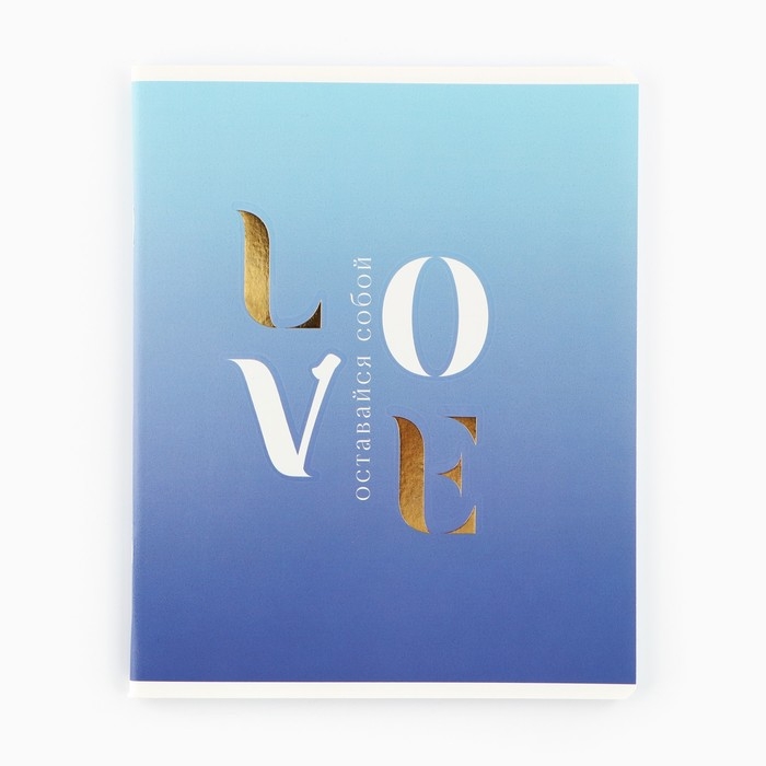 Тетрадь в клетку, 48 листов А5 на скрепке , внутренний блок №1 МИКС &laquo;1 сентября: Мотивационные&raquo; Мат. лам, тиснение