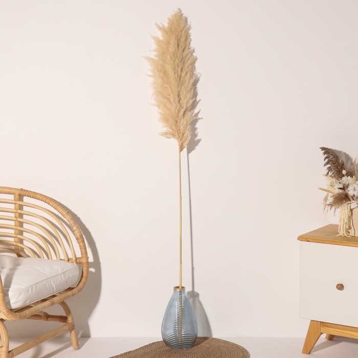 Сухоцвет Сухоцвет "Кортадерия", 1 ветка, длина 140-150 см, натуральный