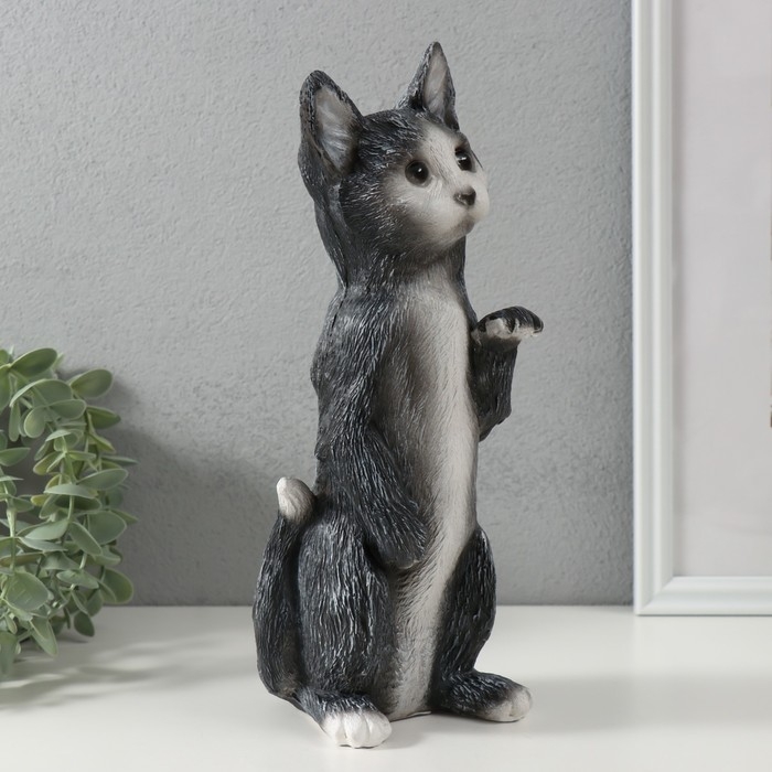 Копилка Копилка "Котенок Том" 27 х 10 х 10 см.