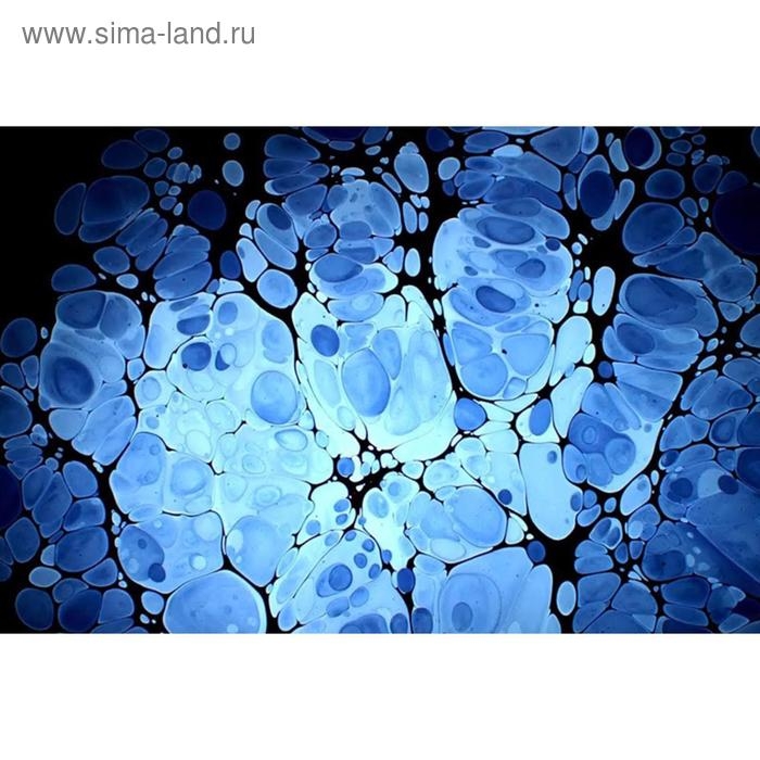 Набор красок для рисования в технике Набор красок для рисования в технике "Эбру", 5 цветов по 18 мл, загуститель, 13 г, "Аква-Колор"