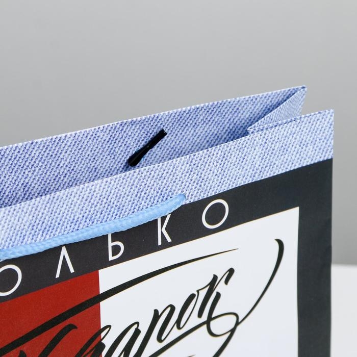 Пакет подарочный ламинированный горизонтальный, упаковка, «Подарок», MS 23 х 18 х 10 см