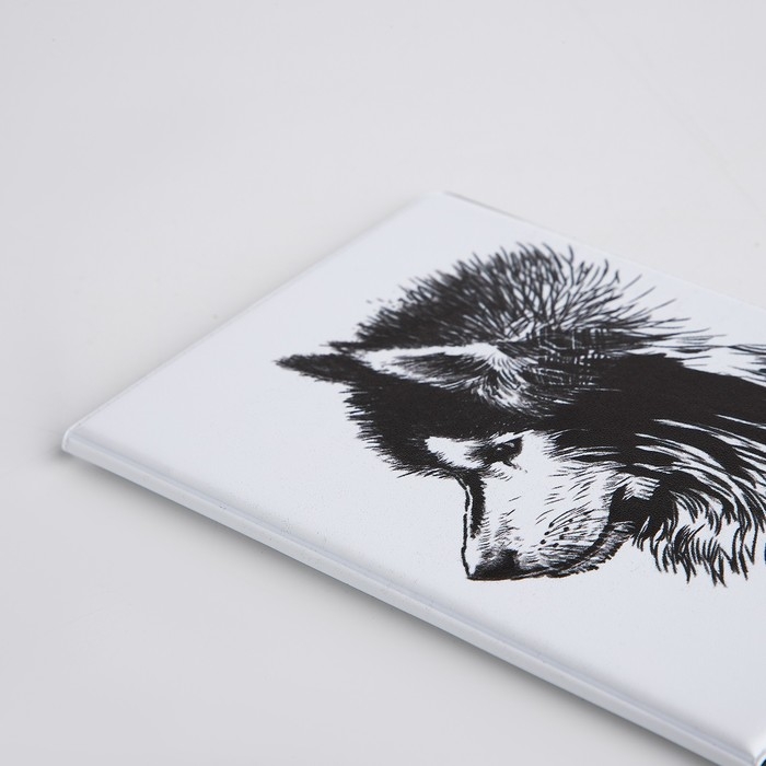 Обложка для паспорта, цвет белый Обложка для паспорта, цвет белый