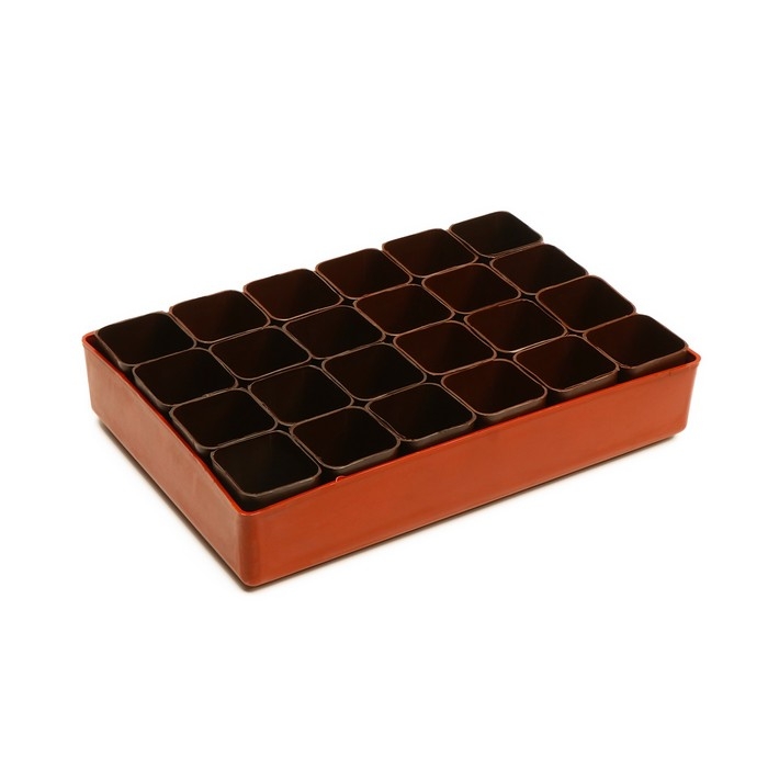 Набор для рассады: стаканы по 70 мл (24 шт.), поддон 29,5 × 20 см, МИКС Набор для рассады: стаканы по 70 мл (24 шт.), поддон 29,5 × 20 см, МИКС