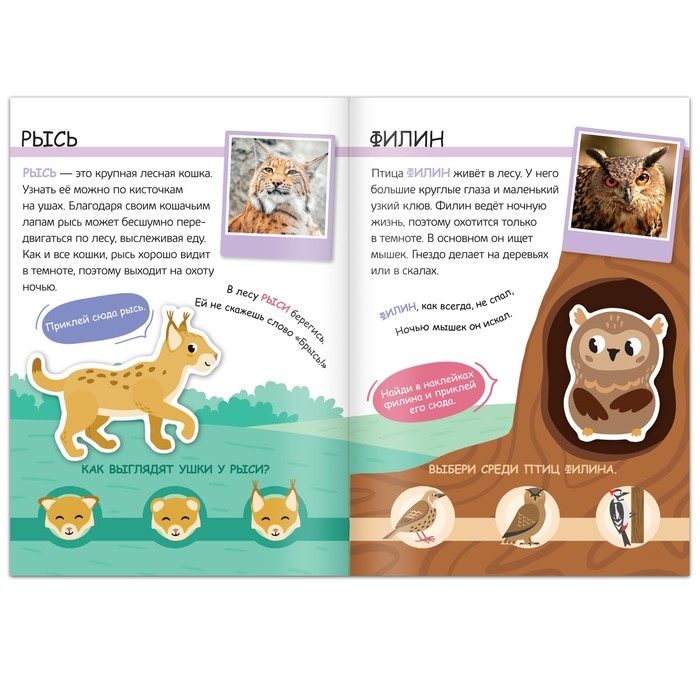 Книжка с наклейками «Жители леса. Читай, играй, узнавай», 16 стр. Книжка с наклейками «Жители леса. Читай, играй, узнавай», 16 стр.