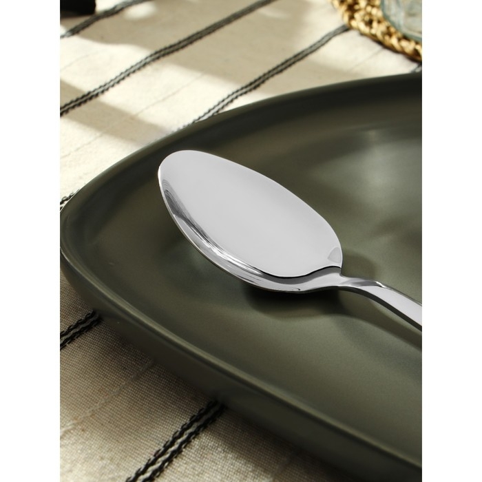 Ложка столовая из нержавеющей стали «Хоккайдо», длина 20,5 см, цвет серебряный Ложка столовая из нержавеющей стали «Хоккайдо», длина 20,5 см, цвет серебряный