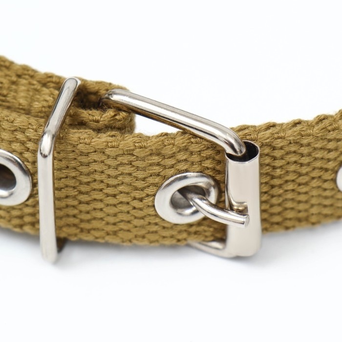 Ошейник брезентовый однослойный, 52 х 2 см, песочный Ошейник брезентовый однослойный, 52 х 2 см, песочный