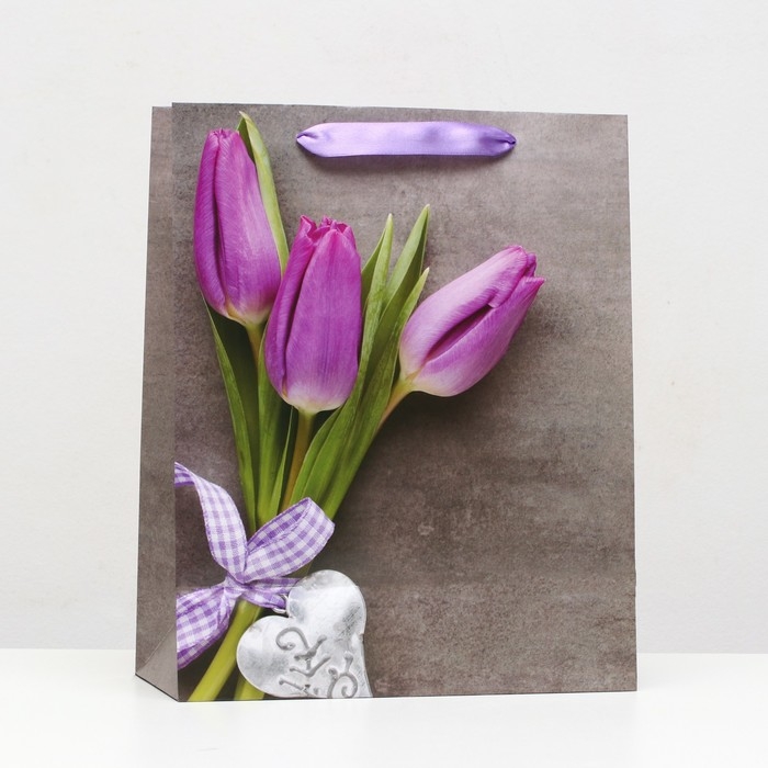 Пакет ламинированный, 26 x 32 x 12 см Пакет ламинированный, 26 x 32 x 12 см