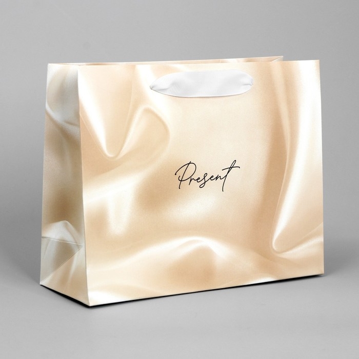 Пакет подарочный, упаковка, «Present», 22 х 17.5 х 8 см Пакет подарочный, упаковка, «Present», 22 х 17.5 х 8 см