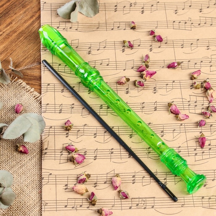 Блокфлейта Music Life, 8 отверстий, немецкая система, зеленая Блокфлейта Music Life, 8 отверстий, немецкая система, зеленая