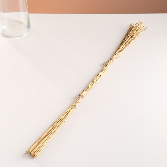 Набор сухоцветов Набор сухоцветов "Райграс", банч 21 шт, длина 60 (+/- 6 см), натуральный