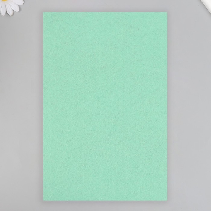 Фетр Фетр "Светло-зеленый" 1 мм (набор 10 листов) формат А4