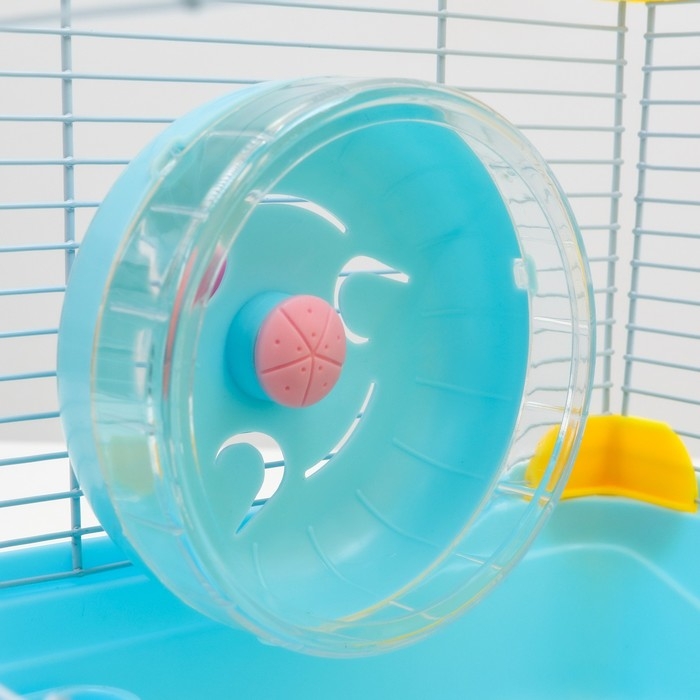 Клетка для грызунов Клетка для грызунов "Пижон", 31 х 24 х 46 см, голубая