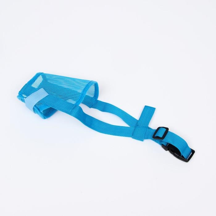 Намордник сетчатый с двойной фиксацией, размер L (длина по носу 6 см, обхват морды 25 см), голубой Намордник сетчатый с двойной фиксацией, размер L (длина по носу 6 см, обхват морды 25 см), голубой