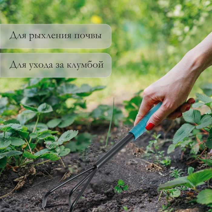 Рыхлитель Greengo, длина 36 см, 3 зубца, пластиковая ручка Рыхлитель Greengo, длина 36 см, 3 зубца, пластиковая ручка