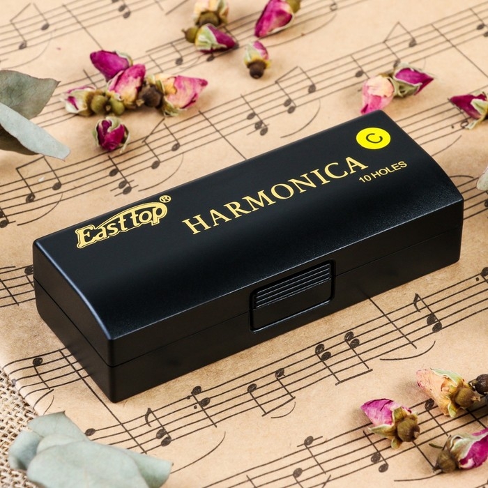 Губная гармошка Music Life T10-3 диатоническая, 10 отверстий, с футляром