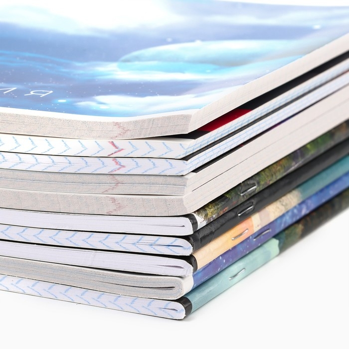 Набор тетрадей 48 листов, 10 предметов со справ. мат. в обечайке &laquo;1 сентября:Предметы&raquo;