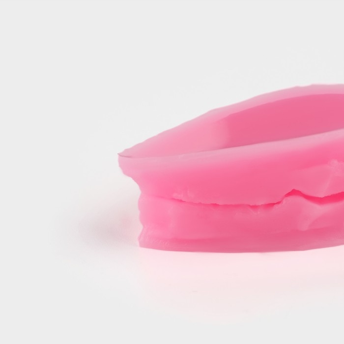 Молд «Лист розы», силикон, 2 предмета, 5×3 см, цвет МИКС Молд «Лист розы», силикон, 2 предмета, 5×3 см, цвет МИКС