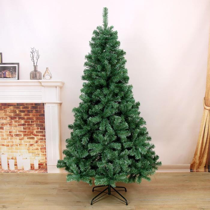 Ель голубая 180 см, d нижнего яруса 105 см, 694 ветки Ель голубая 180 см, d нижнего яруса 105 см, 694 ветки