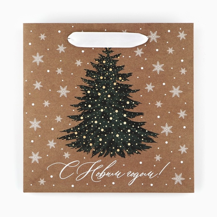 Пакет подарочный новогодний крафтовый квадратный «Новогодняя красавица», 22 х 22 х 11 см, Новый год Пакет подарочный новогодний крафтовый квадратный «Новогодняя красавица», 22 х 22 х 11 см, Новый год