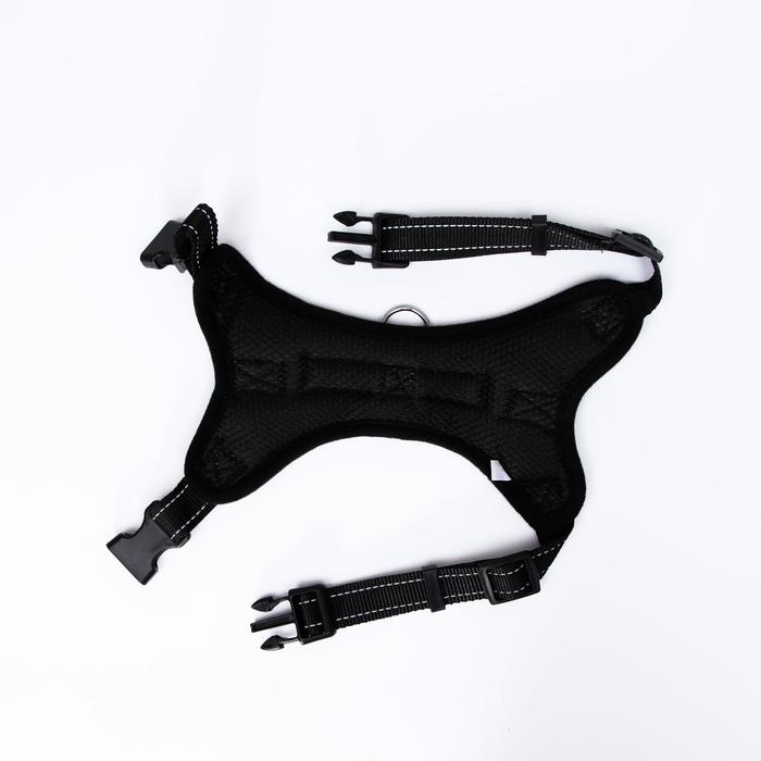 Шлейка К7 мягкая светоотражающая, размер М, ОГ 52-66 см, вес 9,5-17,5 кг, голубая хаки Шлейка К7 мягкая светоотражающая, размер М, ОГ 52-66 см, вес 9,5-17,5 кг, голубая хаки