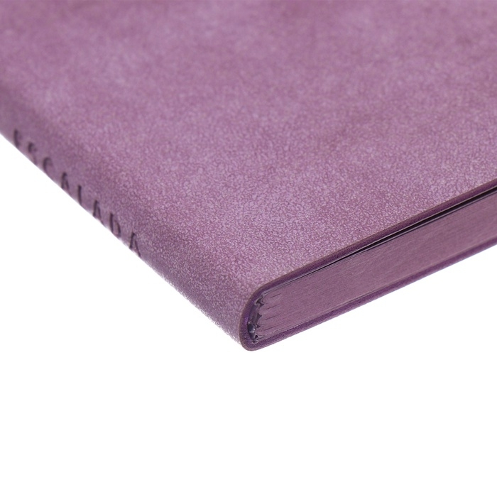 Еженедельник датированный 2025 года, 80х165 мм, 64 листа ESCALADA, мягкая обложка из искусственной кожи, блинтовое тиснение, блок 70 г/м², сиреневый Еженедельник датированный 2025 года, 80х165 мм, 64 листа ESCALADA, мягкая обложка из искусственной кожи, блинтовое тиснение, блок 70 г/м², сиреневый