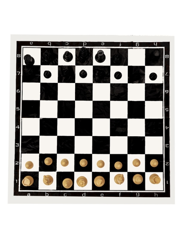 Шахматы 50 х 50 см, король h-7 см, d-3.2 см, фигуры пластик Шахматы 50 х 50 см, король h-7 см, d-3.2 см, фигуры пластик