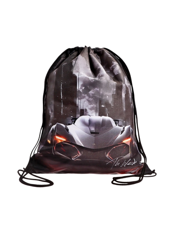 Мешок для обуви, 435×360 мм, Stavia (плотность 600D) «Машина + небоскребы» Мешок для обуви, 435×360 мм, Stavia (плотность 600D) «Машина + небоскребы»