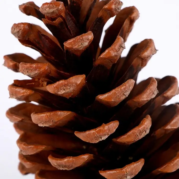 Новогоднее декоративное украшение «Шишка», 8×8×11 см