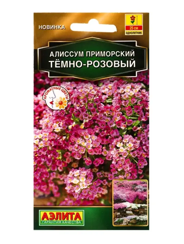 Семена цветов Алиссум приморский Тёмно-розовый Золотая серия, Ц/П,0,1 г Семена цветов Алиссум приморский Тёмно-розовый Золотая серия, Ц/П,0,1 г