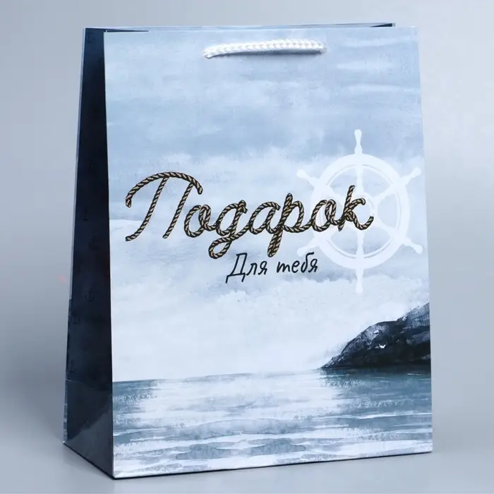 Пакет подарочный ламинированный, упаковка, Present for you, ML 21&times;25&times;8 см