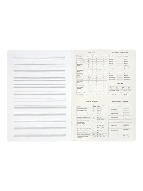 Тетрадь для нот А4 ErichKrause Music Fantasy, 24 листа, на скобе