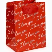 Пакет ламинированный Love you, 9 × 12 × 6,5 см Пакет ламинированный Love you, 9 × 12 × 6,5 см