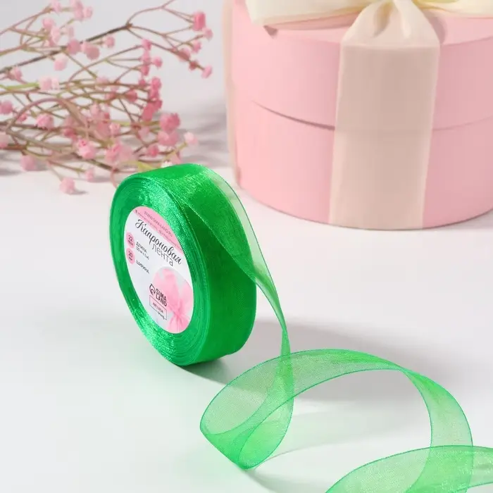 Лента капроновая, 20 мм, 20&plusmn;1 м, зелёная №19