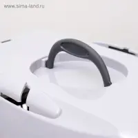 Переноска для животных до 12 кг &laquo;Пижон&raquo;, 49&times;33&times;32 см, металлическая дверь, пластик, серая