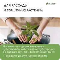 Субстрат кокосовый, универсальный, для террариумов и растений, в брикете, 25 л, Greengo