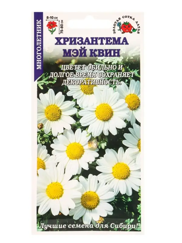 Семена Хризантема Мэй Квин /Сотка/ 0,3г/*1500 Семена Хризантема Мэй Квин /Сотка/ 0,3г/*1500