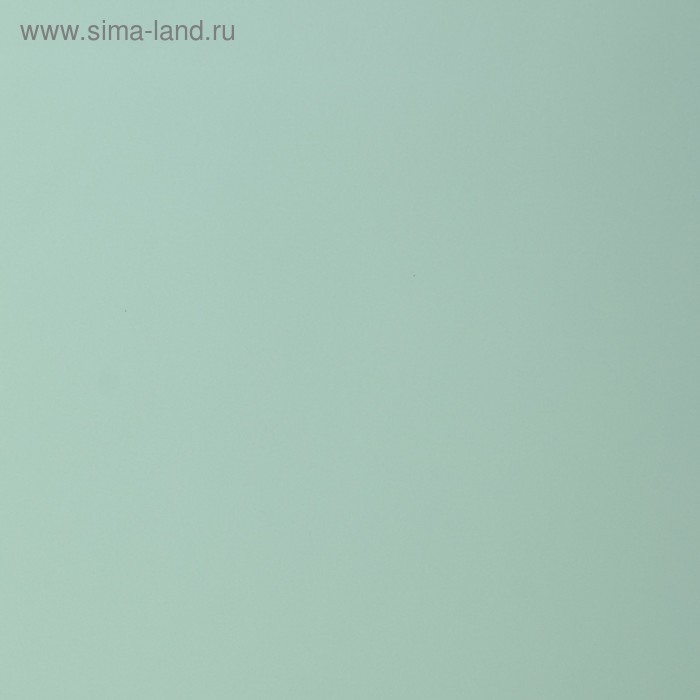 Пленка матовая для цветов, двухсторонняя, Пленка матовая для цветов, двухсторонняя,"Зефир" ,57 см х 5 м